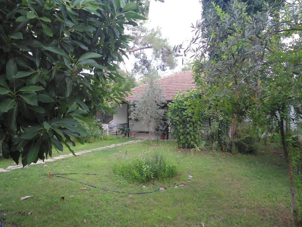 Bungalow Halil Чирали Стая снимка