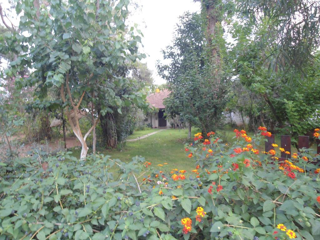 Bungalow Halil Чирали Стая снимка