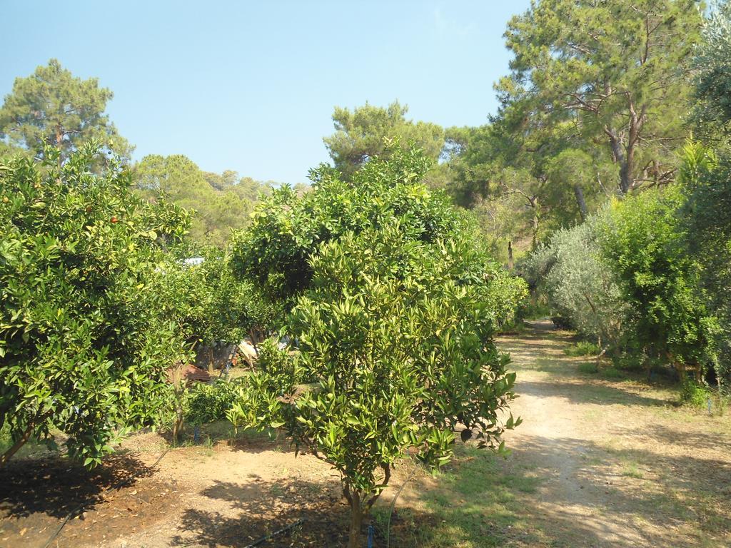 Bungalow Halil Чирали Екстериор снимка